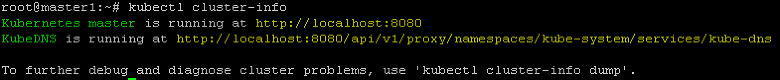 ../../_images/cluster-setup-guide-kubeadmin-init-check-cluster-info.png