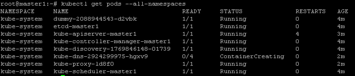../../_images/cluster-setup-guide-kubeadmin-init-check.png