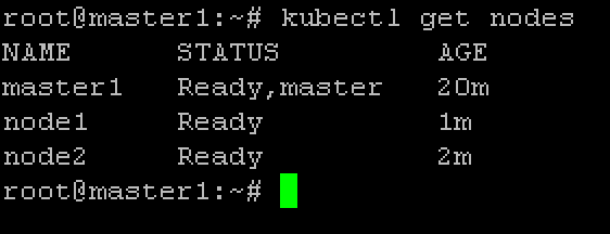 ../../_images/cluster-setup-guide-node-setup-check-nodes.png