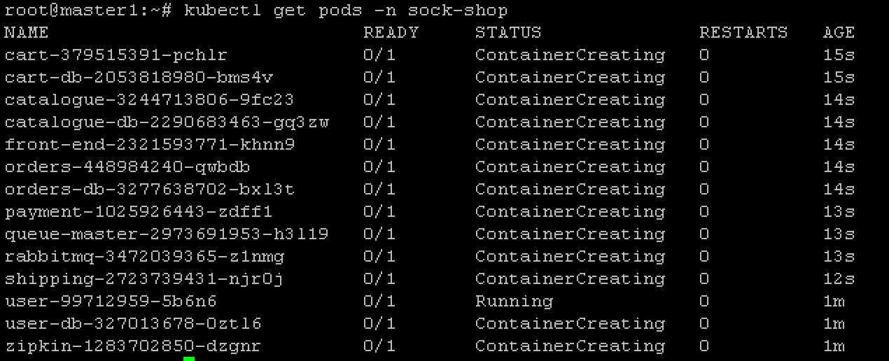 ../../_images/cluster-setup-guide-test-sock-shop-status.png